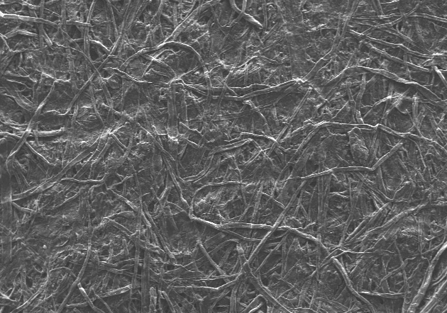 Magnification of a paper surface using a Scanning Electron Microscope at PAGORA INP-Grenoble