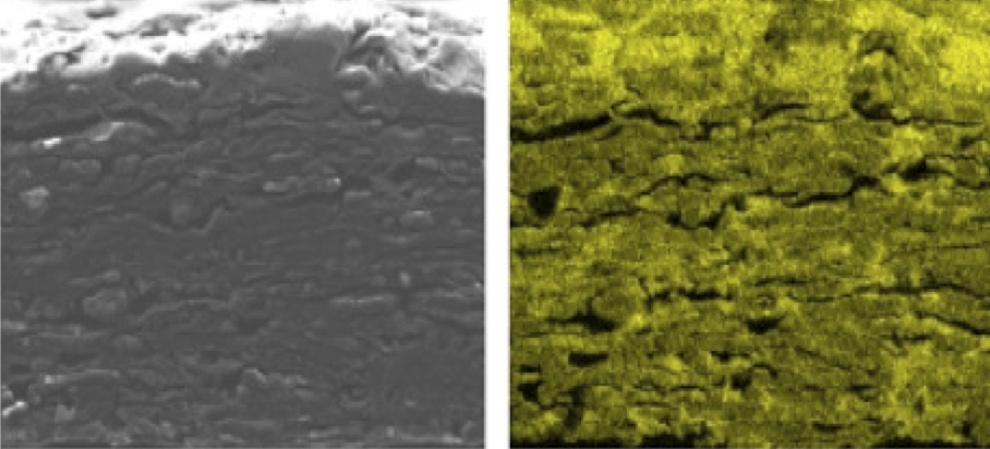 Scanning Electron Microscope Image and X-Ray analysis of a carbon-loaded paper (carbon distribution in yellow)